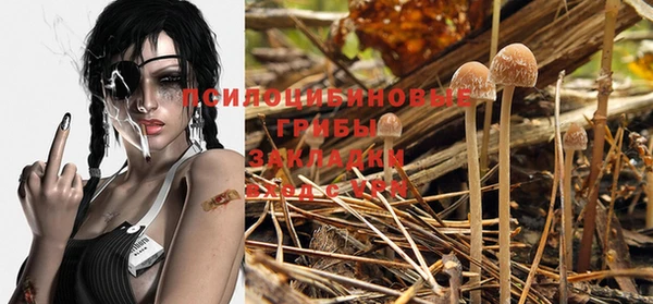 индика Карпинск