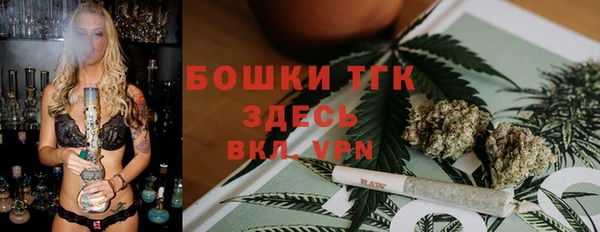 индика Карпинск